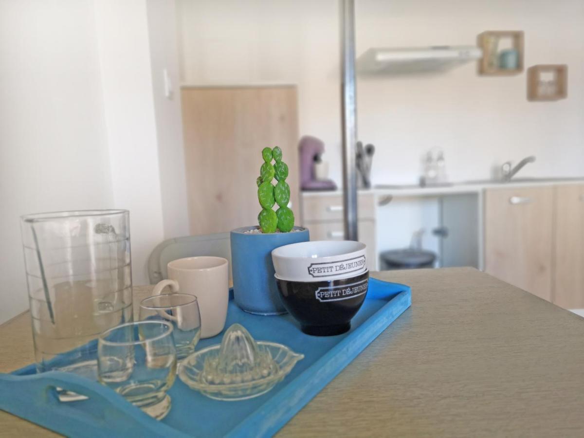 Appartement Avec Jardin - Centre Castelnaudary Buitenkant foto